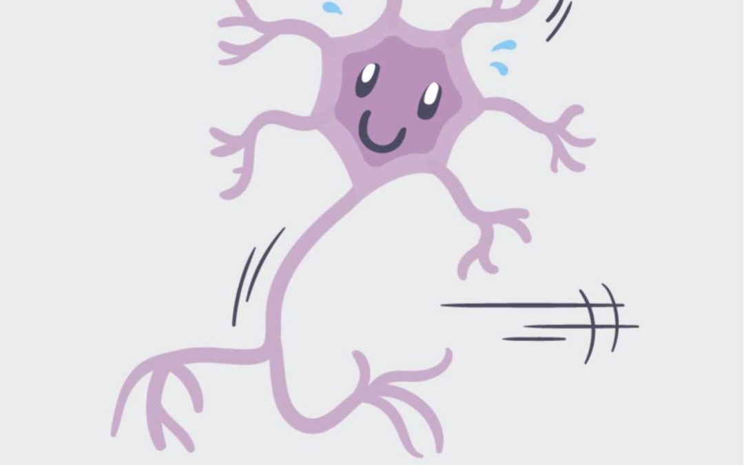 Somos capaces de crear nuevas neuronas a cualquier edad con un sencillo ejercicio (que está en tus manos)