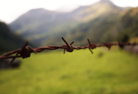 Fotografía de un alambre de espinos en una campa