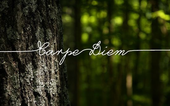 Ilustración de las palabras "Carpe Diem" sobre un bosque