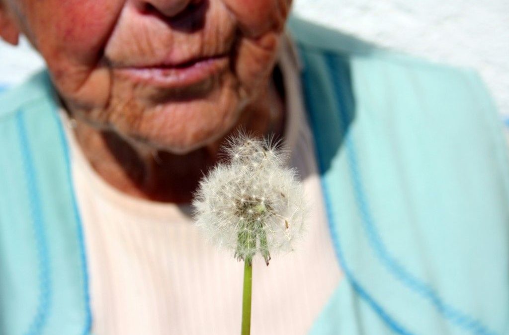 Fotografía de una mujer anciana soplando las semillas del diente de león